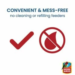 More Birds® Nectar Pods Gemini Hummingbird Feeder -birds Shop 436 438 info2 698 1