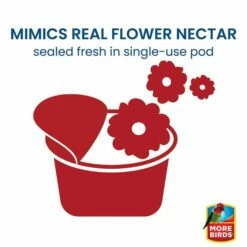 More Birds® Nectar Pods Gemini Hummingbird Feeder -birds Shop 436 438 info3 698 1