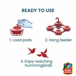 More Birds® Nectar Pods Wireform Hummingbird Feeder -birds Shop 436 info1 698