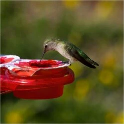 More Birds® Nectar Pods Gemini Hummingbird Feeder -birds Shop 438 10