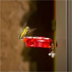 More Birds® Nectar Pods Gemini Hummingbird Feeder -birds Shop 438 11