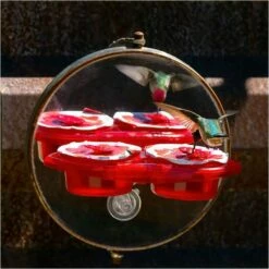 More Birds® Nectar Pods Gemini Hummingbird Feeder -birds Shop 438 12