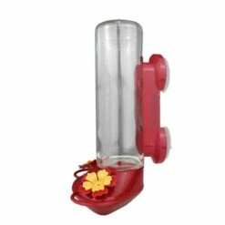 Perky-Pet® Window-Mounted Glass Hummingbird Feeder -birds Shop 455 2 05