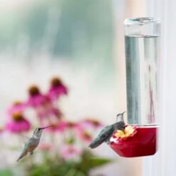 Perky-Pet® Window-Mounted Glass Hummingbird Feeder -birds Shop 455 2 06