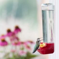 Perky-Pet® Window-Mounted Glass Hummingbird Feeder -birds Shop 455 2 07