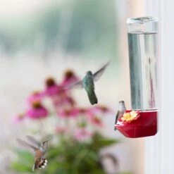 Perky-Pet® Window-Mounted Glass Hummingbird Feeder -birds Shop 455 2 09