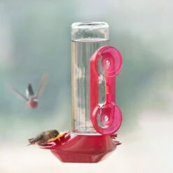 Perky-Pet® Window-Mounted Glass Hummingbird Feeder -birds Shop 455 2 10