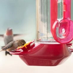 Perky-Pet® Window-Mounted Glass Hummingbird Feeder -birds Shop 455 2 11