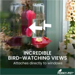 Perky-Pet® Window-Mounted Glass Hummingbird Feeder -birds Shop 455 2 info1 698