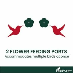 Perky-Pet® Window-Mounted Glass Hummingbird Feeder -birds Shop 455 2 info2 698