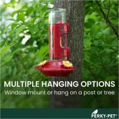 Perky-Pet® Window-Mounted Glass Hummingbird Feeder -birds Shop 455 2 info4 698
