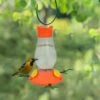 Perky-Pet® Vine Oriole Feeder