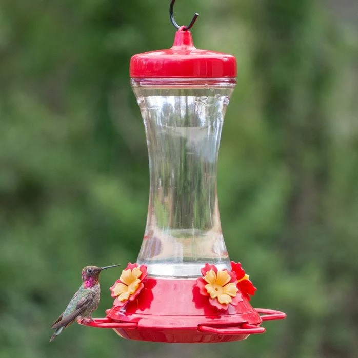Perky-Pet® Adjustable Perch Glass Hummingbird Feeder 1 Perky-Pet® Adjustable Perch Glass Hummingbird Feeder