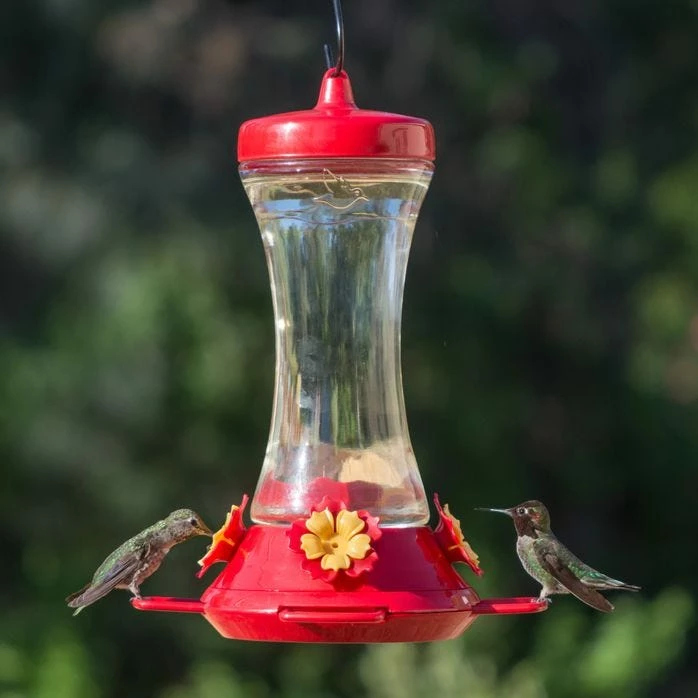 Perky-Pet® Adjustable Perch Glass Hummingbird Feeder 9 Perky-Pet® Adjustable Perch Glass Hummingbird Feeder - Image 9