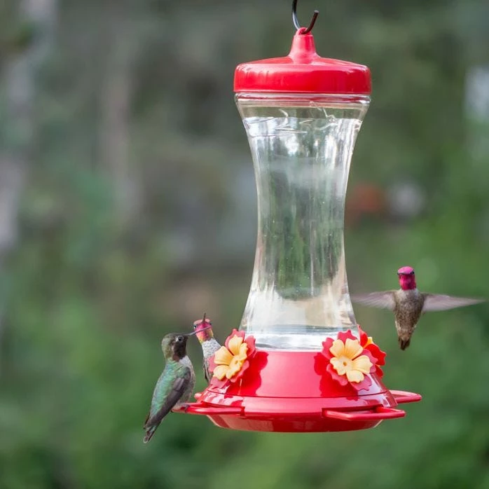 Perky-Pet® Adjustable Perch Glass Hummingbird Feeder 10 Perky-Pet® Adjustable Perch Glass Hummingbird Feeder - Image 10