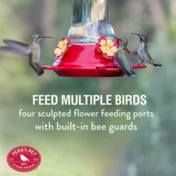Perky-Pet® Adjustable Perch Glass Hummingbird Feeder 12 Perky-Pet® Adjustable Perch Glass Hummingbird Feeder -birds Shop 476 3 info1