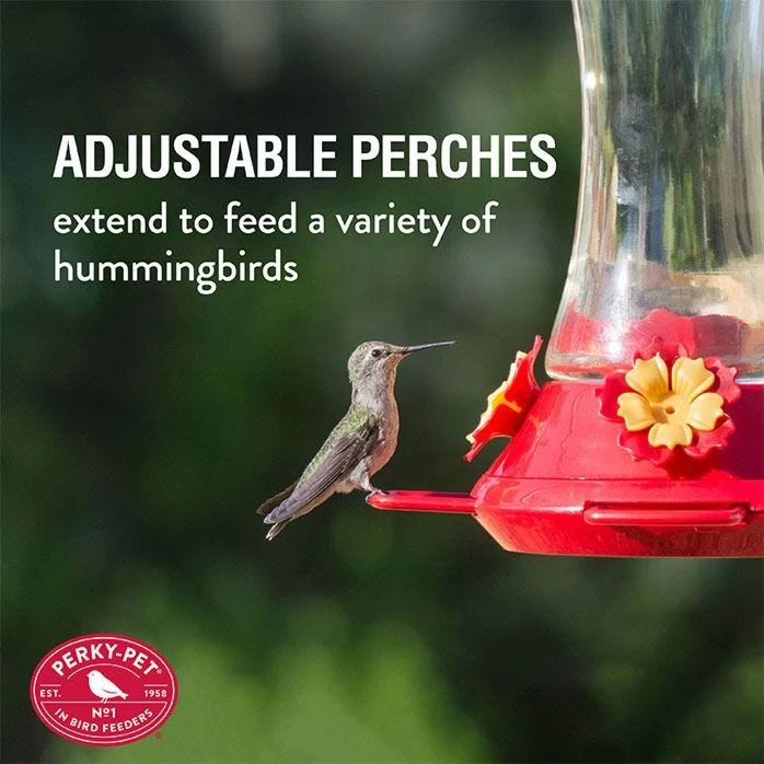 Perky-Pet® Adjustable Perch Glass Hummingbird Feeder 4 Perky-Pet® Adjustable Perch Glass Hummingbird Feeder - Image 4