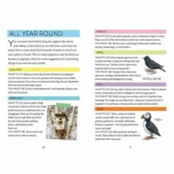 National Trust Out And About Bird Spotter Book 6 National Trust Out And About Bird Spotter Book -birds Shop 50037891 4 1