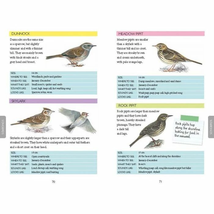 National Trust Out And About Bird Spotter Book 4 National Trust Out And About Bird Spotter Book - Image 4