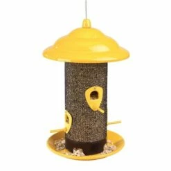More Birds Sedona Screen Bird Feeder -birds Shop 50147 6 in use