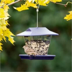 More Birds® Ranch Hopper Bird Feeder - 1.7 Lb
