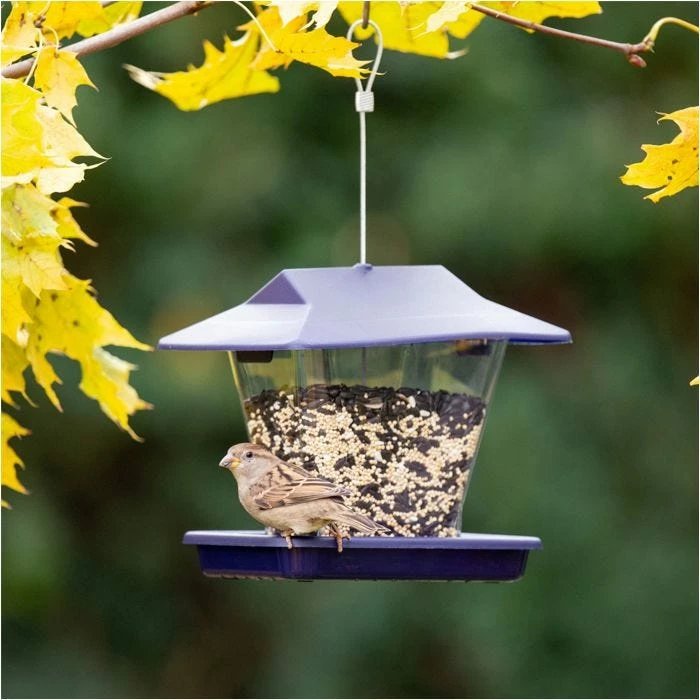More Birds® Ranch Hopper Bird Feeder - 1.7 Lb 1 More Birds® Ranch Hopper Bird Feeder - 1.7 Lb