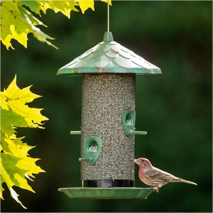 More Birds® Acorn Screen Bird Feeder - 2.8 Lb 1 More Birds® Acorn Screen Bird Feeder - 2.8 Lb