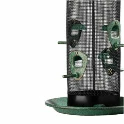 More Birds® Acorn Screen Bird Feeder - 2.8 Lb 8 More Birds® Acorn Screen Bird Feeder - 2.8 Lb -birds Shop 50174 4 in use
