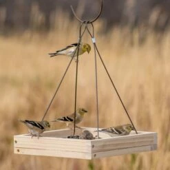 Perky-Pet® Hanging Tray Bird Feeder