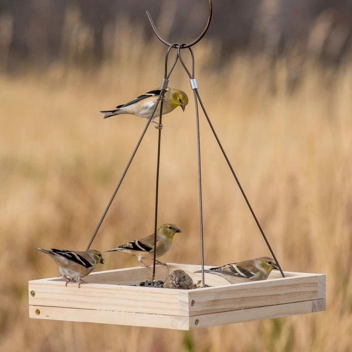 Perky-Pet® Hanging Tray Bird Feeder 1 Perky-Pet® Hanging Tray Bird Feeder