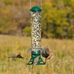 Perky-Pet® Squirrel Slammer Wild Bird Feeder