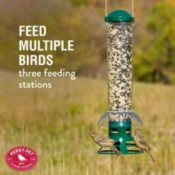 Perky-Pet® Squirrel Slammer Wild Bird Feeder -birds Shop 5141 2 info1