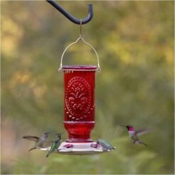 More Birds® Vintage Glass Hummingbird Feeder, Red - 20 Oz 8 More Birds® Vintage Glass Hummingbird Feeder, Red - 20 Oz -birds Shop 60 1 lifestyle 1