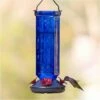 More Birds® Kristina Blue Glass Hummingbird Feeder, 19 Oz