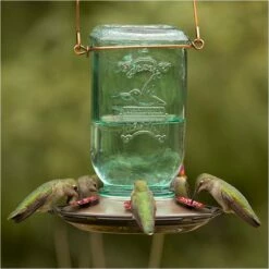 More Birds® Mason Jar Glass Hummingbird Feeder - 25 Oz