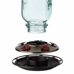 More Birds® Mason Jar Glass Hummingbird Feeder - 25 Oz -birds Shop 68 5 in use
