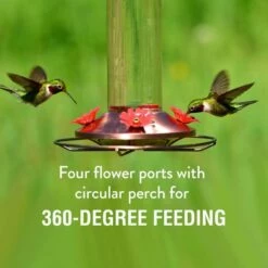 Perky-Pet® Elegant Copper Glass Hummingbird Feeder -birds Shop 710b info2 698