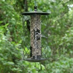 Perky-Pet® The Preserve Wild Bird Feeder -birds Shop 735 d 3