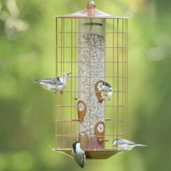 Perky-Pet® The Preserve Copper Finish Bird Feeder With Flexports® - 3 Lb -birds Shop 735c c02