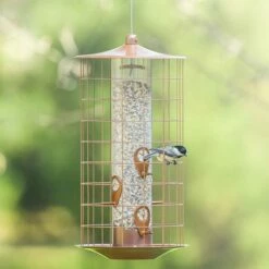 Perky-Pet® The Preserve Copper Finish Bird Feeder With Flexports® - 3 Lb -birds Shop 735c c03