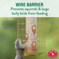 Perky-Pet® The Preserve Copper Finish Bird Feeder With Flexports® - 3 Lb -birds Shop 735c info 02