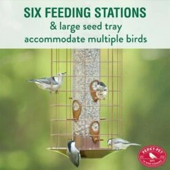 Perky-Pet® The Preserve Copper Finish Bird Feeder With Flexports® - 3 Lb -birds Shop 735c info 04