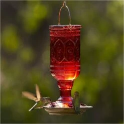 More Birds® Jewel Glass Hummingbird Feeder, Red - 20 Oz