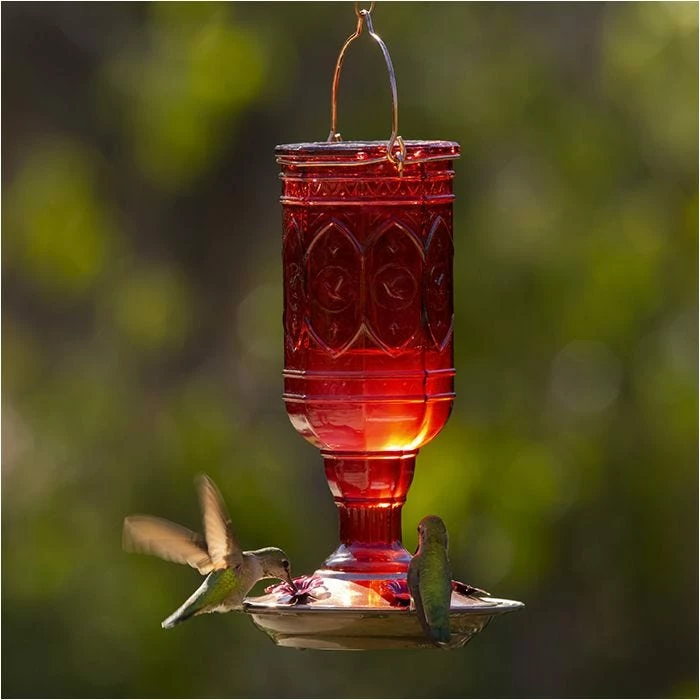 More Birds® Jewel Glass Hummingbird Feeder, Red - 20 Oz 1 More Birds® Jewel Glass Hummingbird Feeder, Red - 20 Oz