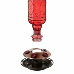 More Birds® Jewel Glass Hummingbird Feeder, Red - 20 Oz 9 More Birds® Jewel Glass Hummingbird Feeder, Red - 20 Oz -birds Shop 76 6 in use