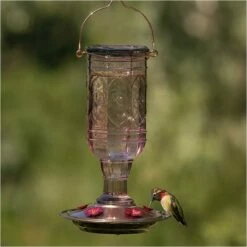 More Birds® Jewel Glass Hummingbird Feeder, Amethyst - 20 Oz