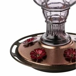 More Birds® Jewel Glass Hummingbird Feeder, Amethyst - 20 Oz 8 More Birds® Jewel Glass Hummingbird Feeder, Amethyst - 20 Oz -birds Shop 77 4 in use