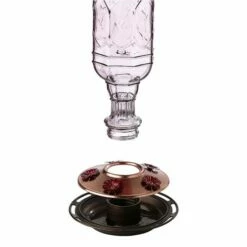 More Birds® Jewel Glass Hummingbird Feeder, Amethyst - 20 Oz 10 More Birds® Jewel Glass Hummingbird Feeder, Amethyst - 20 Oz -birds Shop 77 6 in use