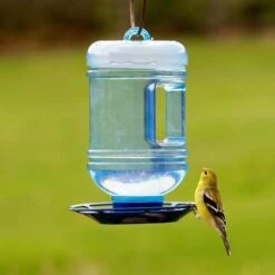 Perky-Pet® Water Cooler Bird Waterer