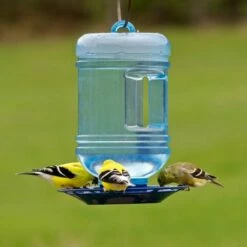 Perky-Pet® Water Cooler Bird Waterer -birds Shop 780 d 4